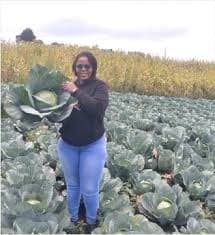 Cabbages Farmer