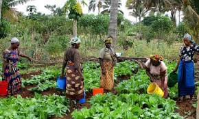 Empowering Small Holder Farmers