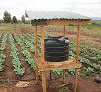 Small Holder Farmer Support