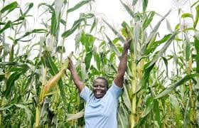 Small Holder Farmer Support