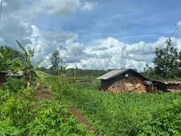 Small Holder Farmer Support